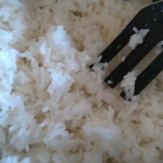 Reis Schonkost