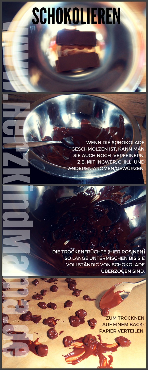 Schokolieren von Trockenobst DIY – HerzKindMama.de