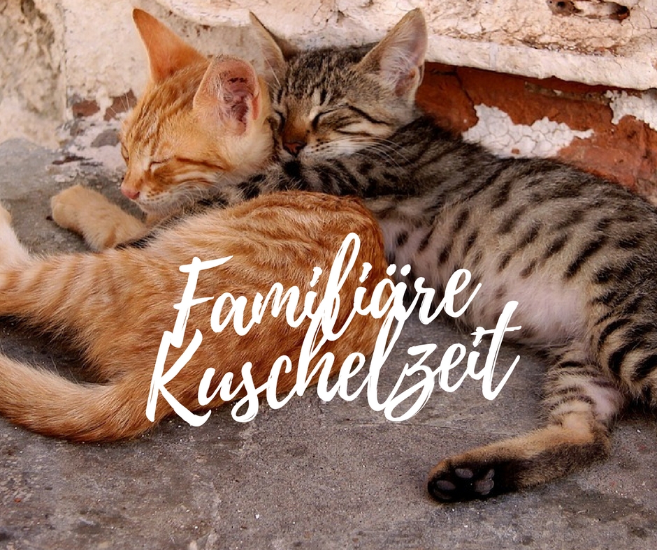 Verabreden zum Kuscheln